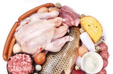 Negative Effects of Protein Diet