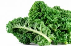 The Essential Benefits of Kale