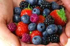 Organic Foods Still Contain Pesticides: Study