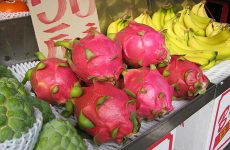 Dragon Fruit Pitaya Benefits 2