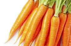 Are Carrots good for your eyes