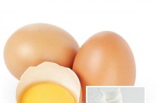 egg yolks_aspirin_colon cancer