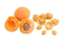 Apricot Kernels and Cyanide Poisoning