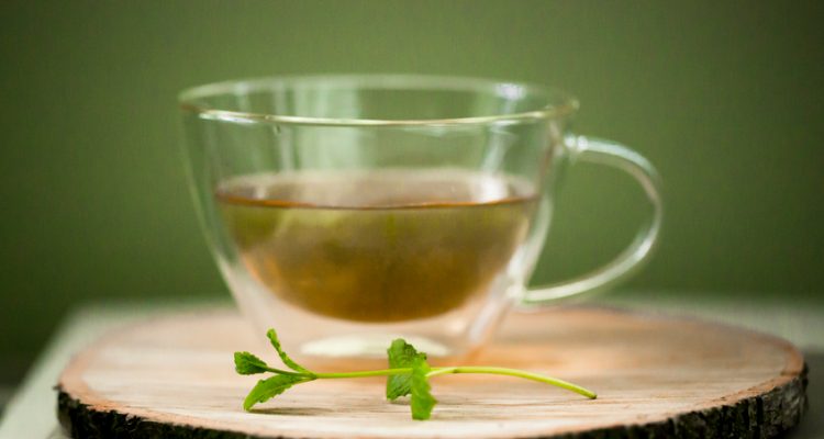 Study Vague on Green Tea Improving Down's Syndrome