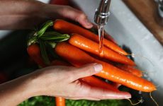 Carrot-Juicing