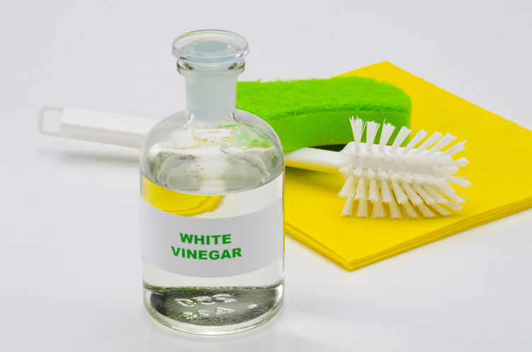 is white vinegar good for smelly kitchen sink