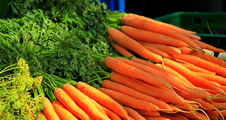 Are carrots good for your eyes