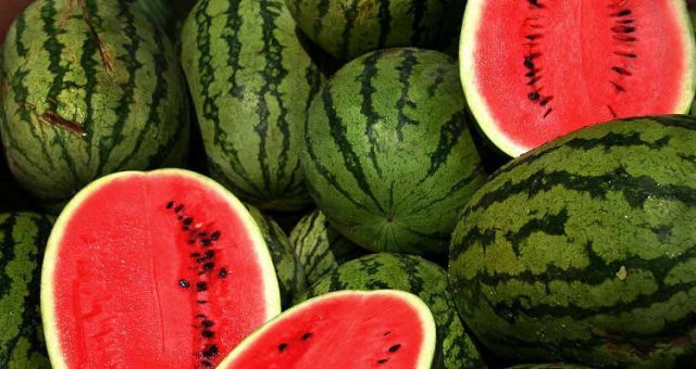 is watermelon good for diabetics
