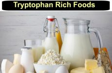 Tryptophan rich foods