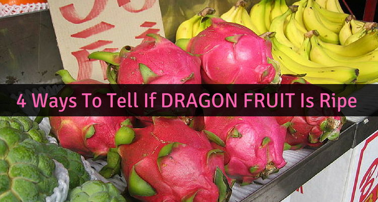 How To Tell If Dragon Fruit Is Ripe