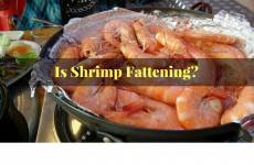 Is Shrimp Fattening