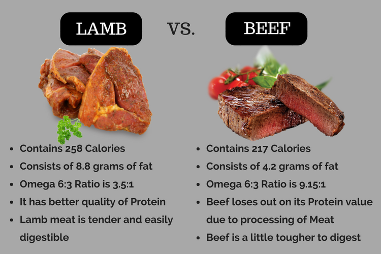 Lamb Vs. Beef