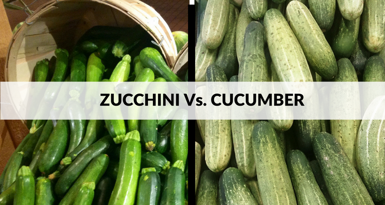 Zucchini Vs. Cucumber