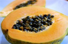 Can You Eat Papaya Seeds