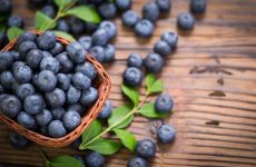 how long do blueberries last