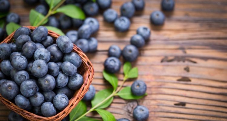 how long do blueberries last