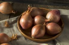 onions vs shallots