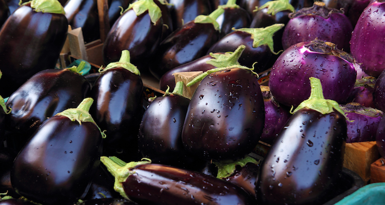 Eggplant nutrition